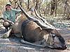 Eland_13_1.JPG