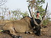 Eland_1_1.JPG