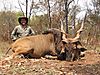 Eland_3_1.jpg