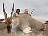 Eland_John_Bigler.JPG