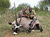 Gemsbok_13_.JPG