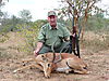 Impala_2010_Zim.JPG