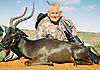 Impala_Black_DOUG_EBERHARDT_.jpg