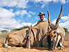 Jim_CARSWELL_Eland.JPG