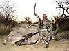 KUDU_56_E.jpg