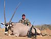 Kowas_-_Glen_Hiebert_Oryx_male.JPG