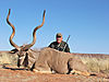 Kudu_2nd_-_Heber_Simmons_II.JPG