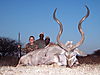 Kudu_Sammy_Simon_Gibson1.JPG