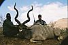 Kudu_Scott_Nordman2_.JPG