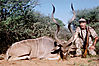 Kudu_TROY_DAVIS.jpg