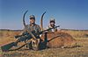 LECHWE_3_SAVANNA_HUNTING_SAFARIS.jpg