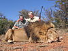 LION_18_SAVANNA_HUNTING_SAFARIS.jpg