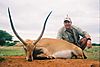 Lechwe_Mark_Egger_.JPG