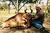 Lictenstiens_Hartebeest_Tom_St_John_.JPG