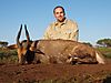 Limpopo_Bushbuck5_05-07-10.jpg