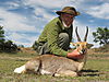 Mountain_Reedbuck_hunted_with_Andrew_Harvey_Safaris.JPG
