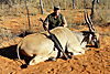 Namibia_Hunting_2009_219ed.jpg