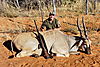 Namibia_Hunting_2009_38_FB.jpg