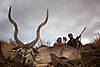 Namibian_kudu_070019.JPG