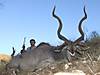 Namibian_kudu_070020.JPG