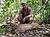 Nice_old_bushbuck.jpeg