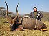 Nyala_2012.jpg