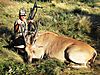 Ongariwanda_Hunting_May_2011_-_Eland_cow.jpg