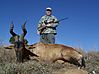 RED_HARTEBEEST_4_SAVANNA_HUNTING_SAFARIS.jpg