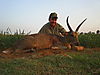 REEDBUCK_COMMON_2_SAVANNA_HUNTING_SAFARIS.jpg