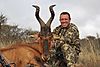 Red_Hartebeest_Craig_Smith_ASG_.JPG