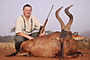 Red_Hartebeest_Dave_Brodhagen_.jpg