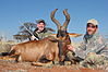 Red_Hartebeest_Mike_St_John_.JPG