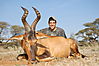 Red_Hartebeest_Wesley_Sackman_.JPG