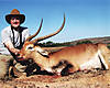 Red_Lechwe.jpg