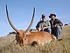 Red_Lechwe_L.jpg