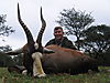 SAVANNA_HUNTING_SAFARIS_BLESBUCK_15.jpg