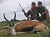 SPRINGBUCK_COMMON_3_SAVANNA_HUNTING_SAFARIS.jpg