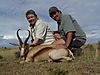 SPRINGBUCK_COPPER_1_SAVANNA_HUNTING_SAFARIS.jpg