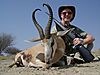 SPRINGBUCK_SAVANNA_HUNTING_SAFARIS.jpg