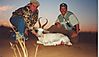 SPRINGBUCK_WHITE_2_SAVANNA_HUNTING_SAFARIS.jpg