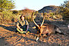 Scott_Dinger_-_Waterbuck.jpg