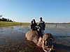 Second_Hippo_-_Zimbabwe_October_2013.JPG