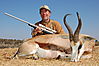 Springbuck_Common_Don_Gardner_.JPG