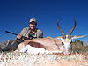 Springbuck_Common_Gustavo_Manterola.jpg