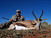 Springbuck_Gustavo_.jpg