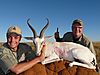 Springbuck_White_Dan_Burkes.JPG