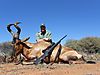 Steve_Willbanks_RED_HARTEBEEST.JPG