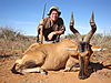 Terry_Blauwkamp_Red_hartebeest_1st.jpg