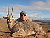 Vaal_Rhebok_hunted_with_Andrew_Harvey_Safaris.JPG