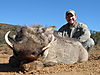 Warthog_hunted_with_Andrew_Harvey_Safaris.JPG